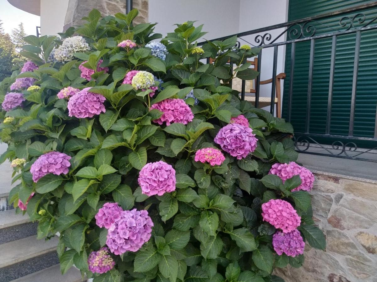 Mito'S House & Douro View Bed & Breakfast Peso da Régua Exterior foto